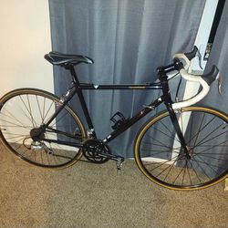 2011 Bianchi Campione/ all Original in excellent condition