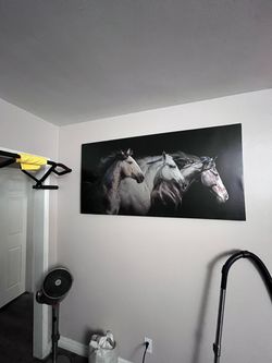 Mustang Lover Canvas