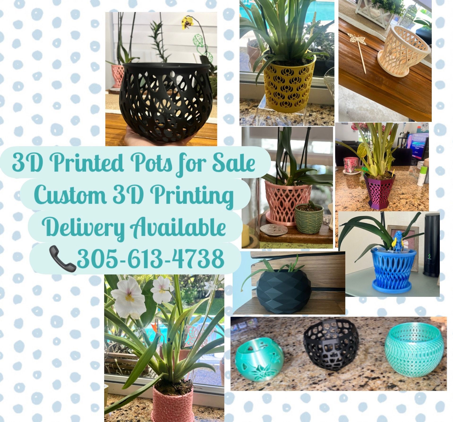Pots for Plants, Orchid and flower pots 