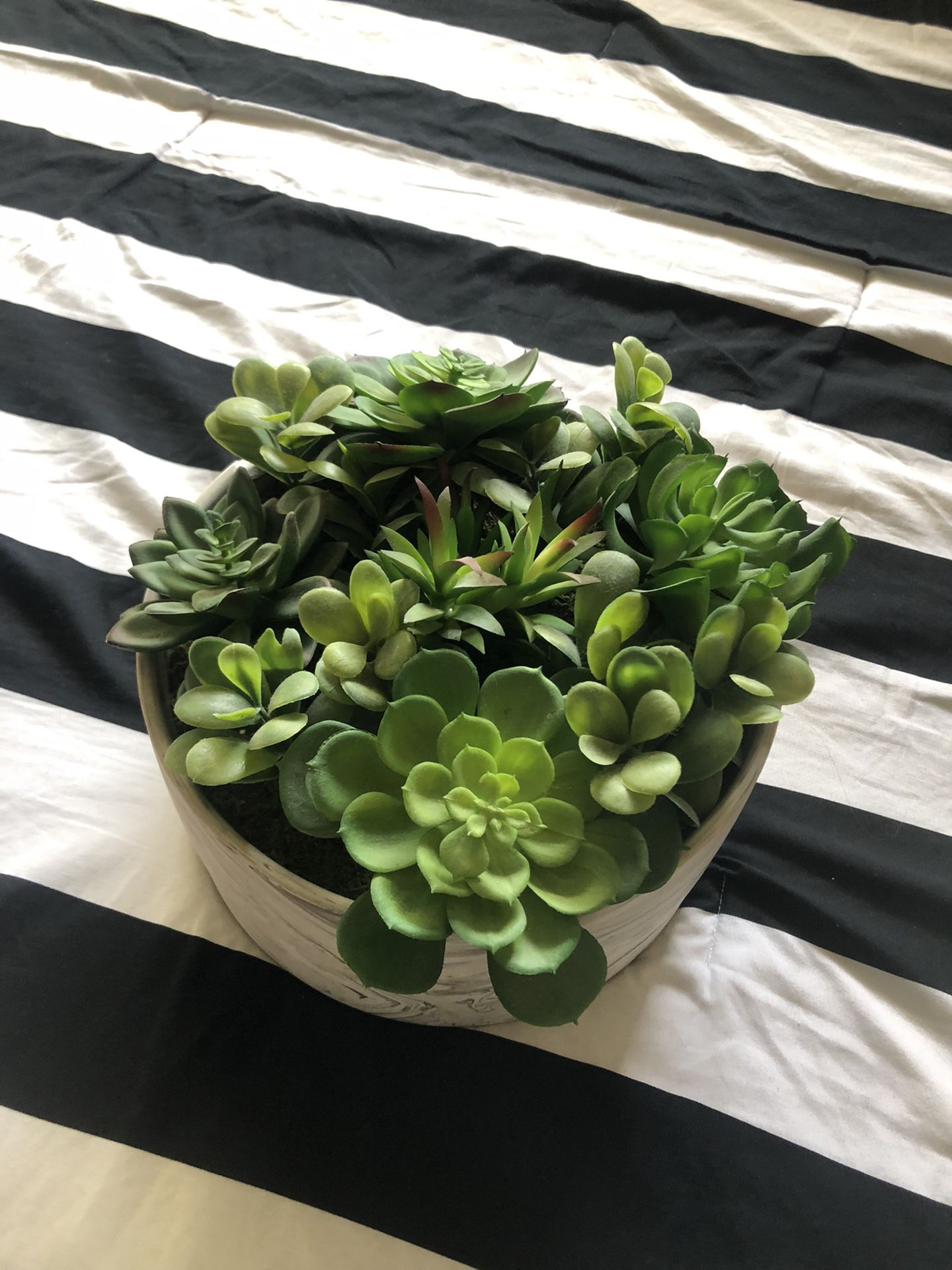 Trendy Artificial marble green plant