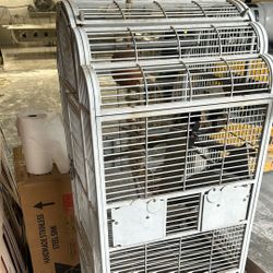 Bird Cage Big