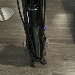 Dyson Ball Animal 2 Origin