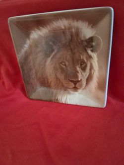 Lion's Head Square Ceramic Plate