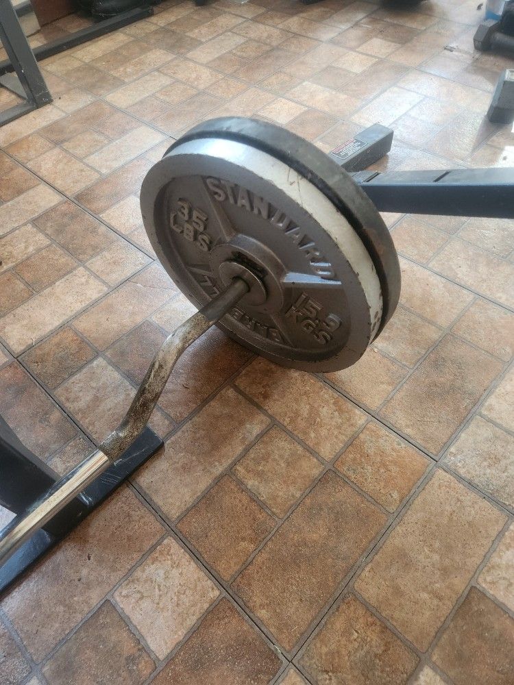 Four 35-LB Commercial Plates