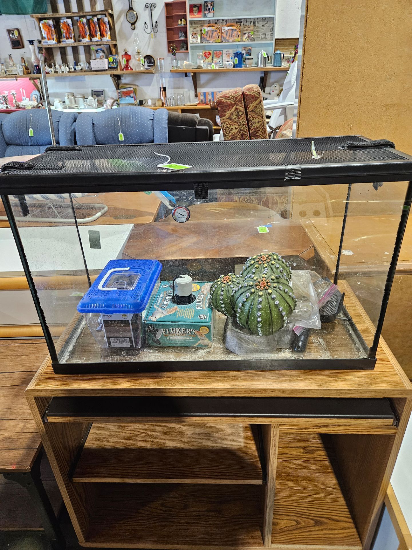 Lizard tank with accessories