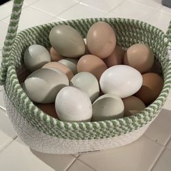 Fresh Farm Eggs