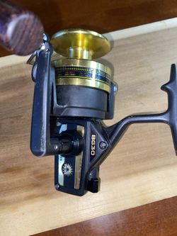 Daiwa BG30 Spinning Reel Black & Gold 