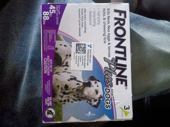 Front line plus for dogs