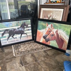 Heavy Wall Picture Of Beautiful Horse 