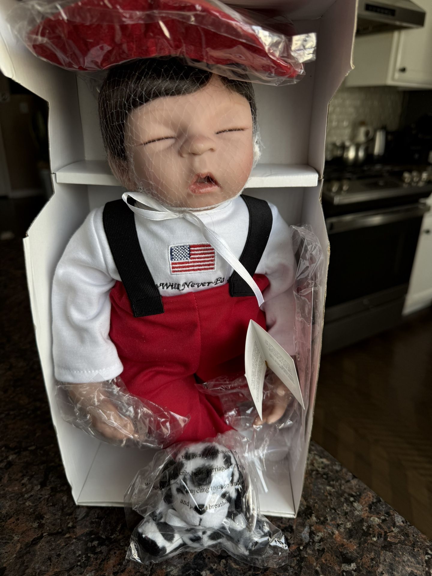 PARADISE GALLERIES DOLL 9/11 COMMEMORATIVE FUTURE FIRE FIGHTER NEW IN BOX W/ COA REBORN BABY DOLL OBO