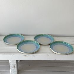 Rachel Ray Plastic Dinner Plates – Set of 4 (Blue/Green)