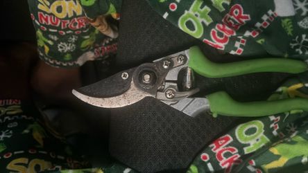 Shears