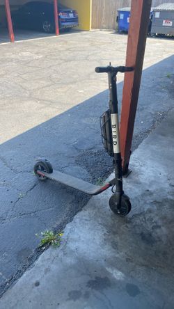 Electric Bird Scooter
