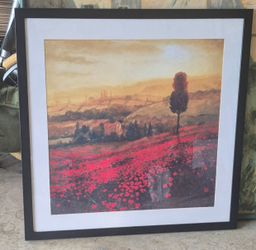 SHADES OF POPPIES by steve thompson