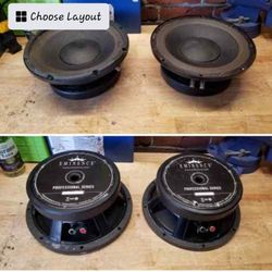 Two 10" Eminence Pro Voice Speakers