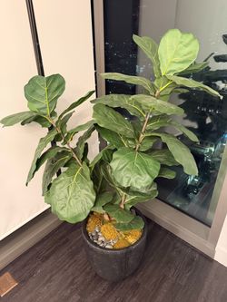 Elegant Faux Indoor Plant