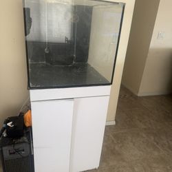 Saltwater 50 Gallon Tank