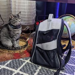 The Fat Cat's mini Cat Backpack