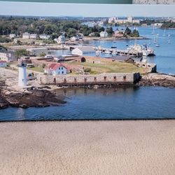 beautiful brand new 30 by 20 inch canvas wall art. (MUST SELL TODAY)