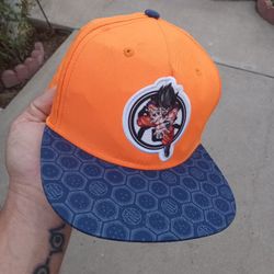 Goku Snapback Kids Hat