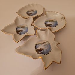 Vintage Niagara Falls  Souvenir  Dish