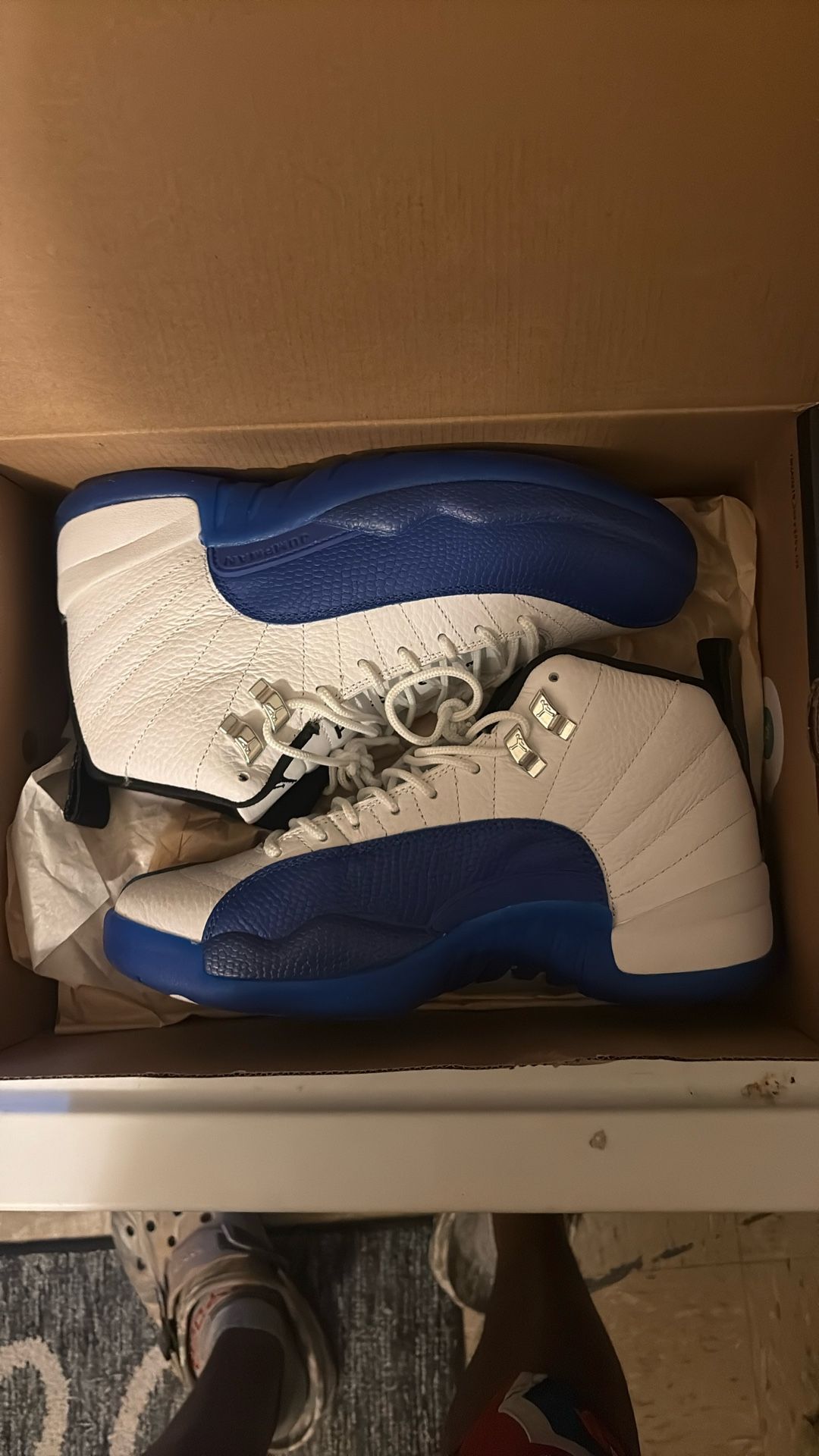 Jordan 12 Blueberry