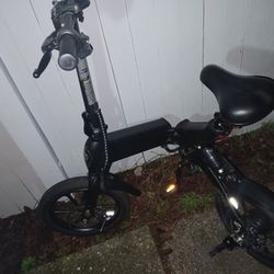 Jason Folding Ebike 