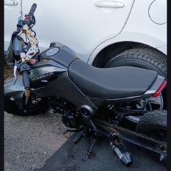 2016 Icebear Grom