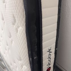 Queen Mattress 