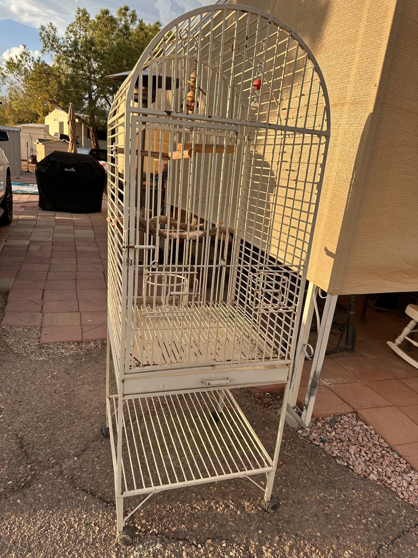 Bird Cage