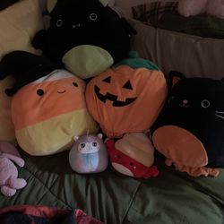 squishmallow lot