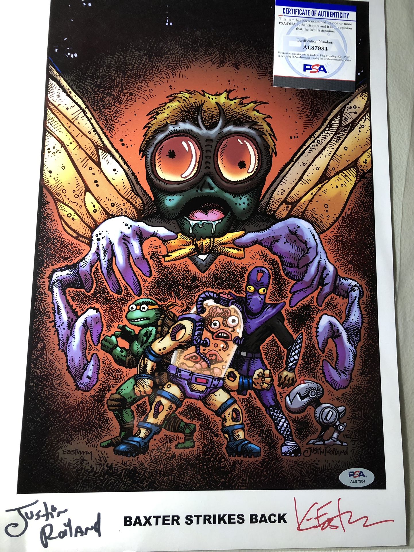 TMNT Signed Art Print Bundle