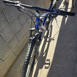 Mountain Bike $90