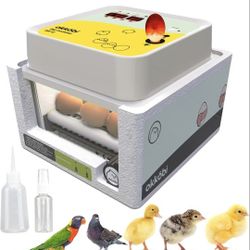 Incubator 