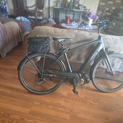 Trek Electric pedal assist