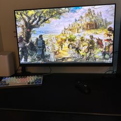 LG 24in Gaming Monitor