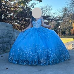 Sweet 16 / Quinceañera Dress 