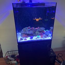 40 Gallon AIO complete 