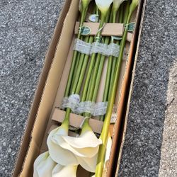 Large Calla Lily Silks Steams By Windwards Silks