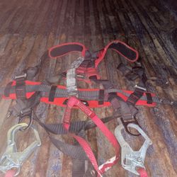 Safety harness
