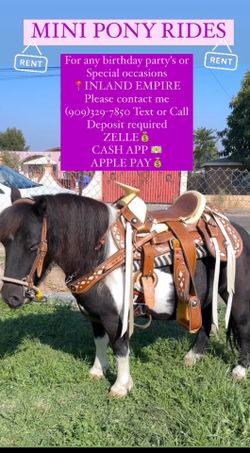 Party With Mini Pony’s Saddle