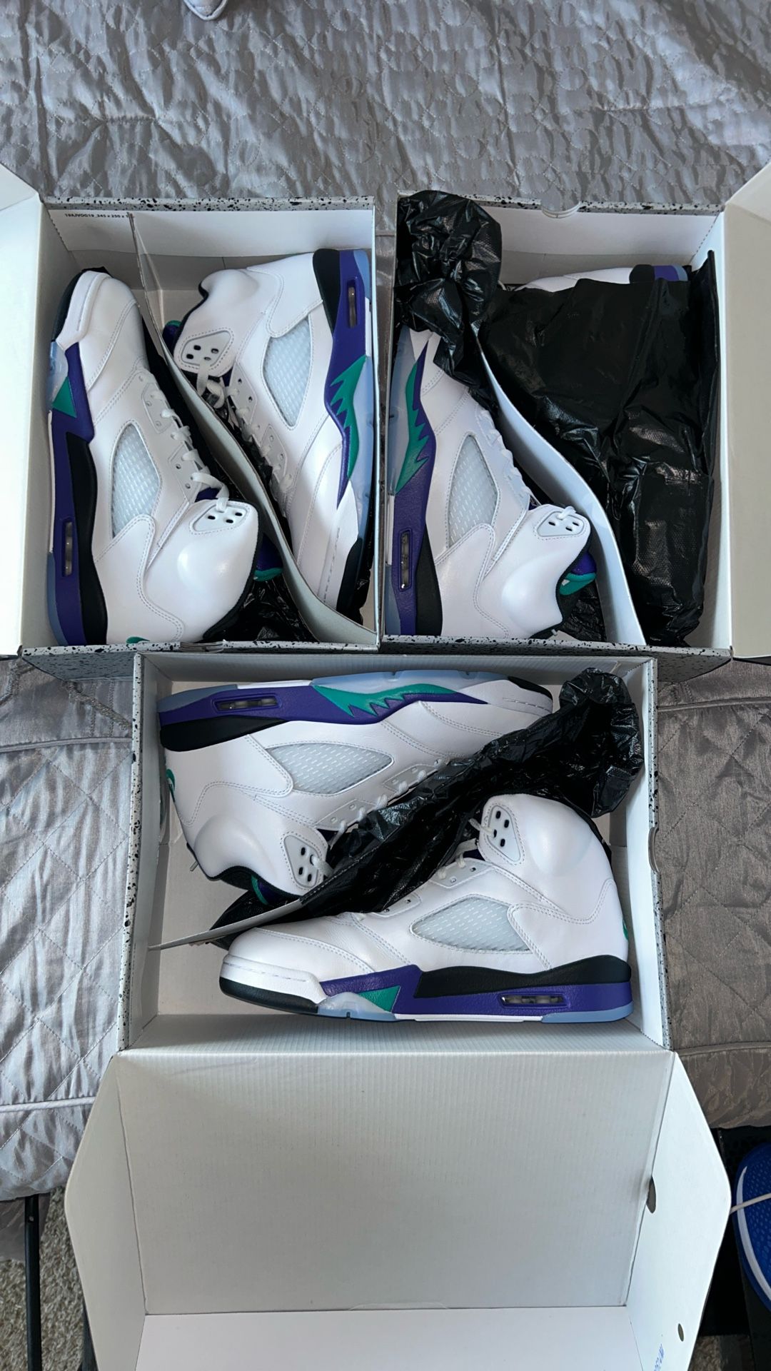 Grape OG 5 Sz 10 & 10.5