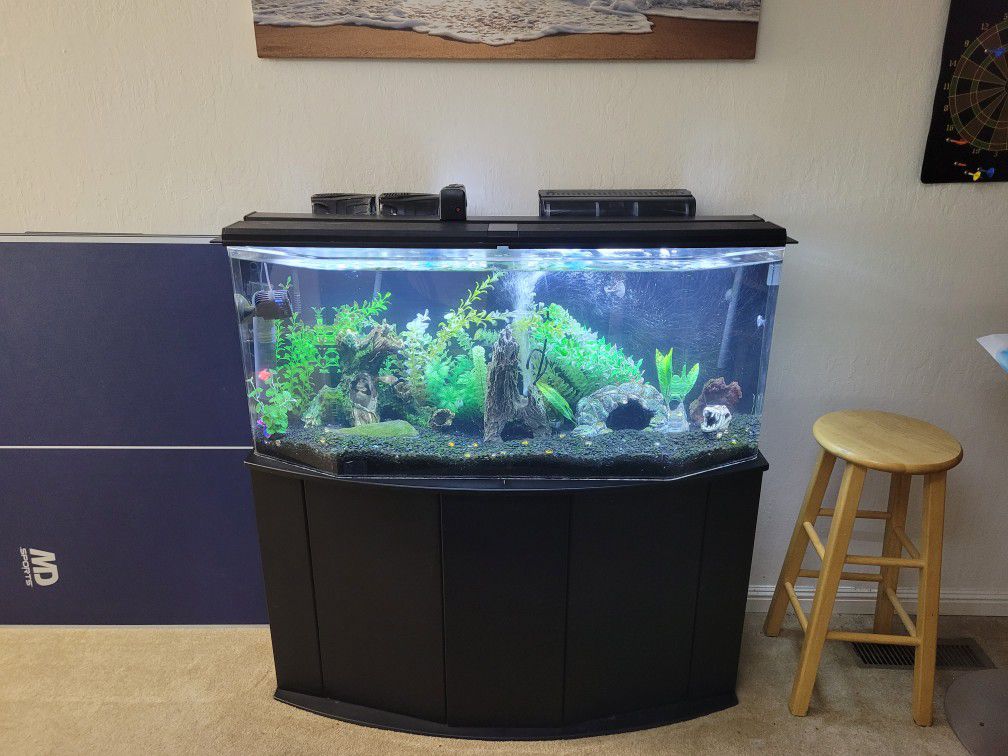 65 Gallon Acrylic Fish Tank With Stand And Equipment