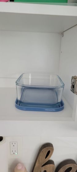 2 Glass Food Storage Containers with Blue Lid