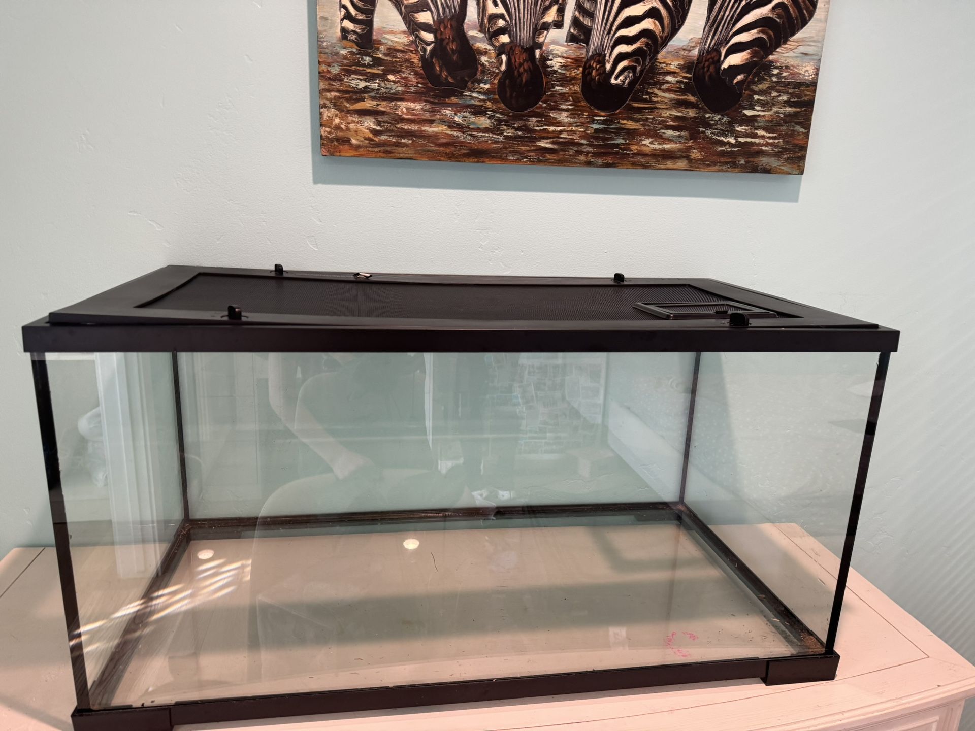 Perfect Condition Glass Tank/Enclosure $100