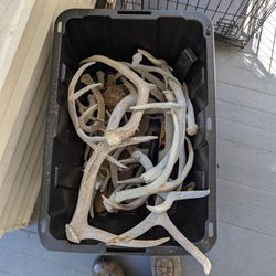 Deer And Elk Sheds