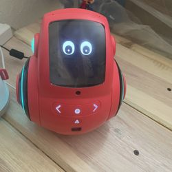 AI Miko Robot