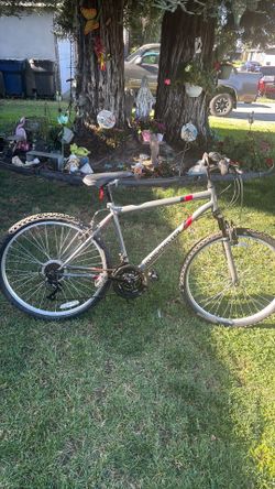 Mountain bike size 26Road master good condition. Everything work.