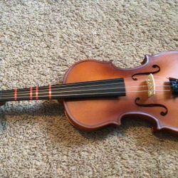Viola 