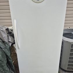 17 cubic frost free freezer